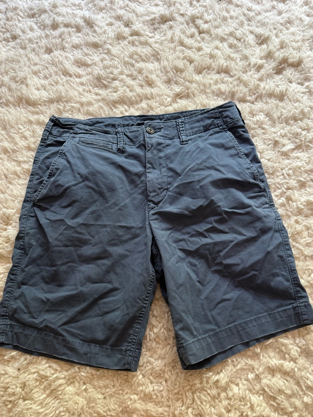 American Eagle Outfitters Navy Flat-Front Casual Shorts